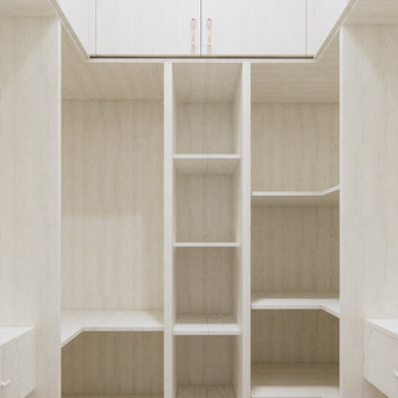 Walk-in Closet Internal Shelving Layout