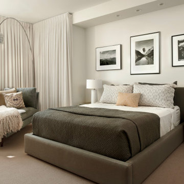 Contemporary Bedroom