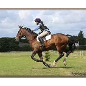 Kirsty Smith's photo