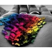 Gaia Corsi's photo