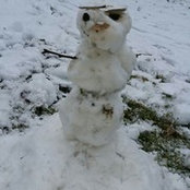 woodencube's photo