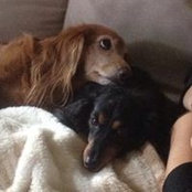 Jayne Hood's photo