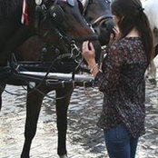 Laura Lamb's photo