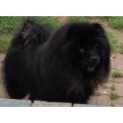 Mary Dudek Davis's photo