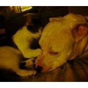 Tracy Carolan's photo