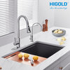 HIGOLD Single Bowl Undermount Kitchen Sink, Black