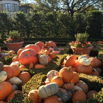 Fall