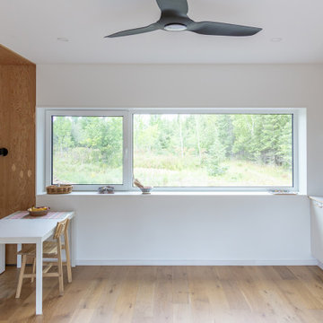 Iron River weeHouse