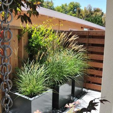 Mountain View Contemporary