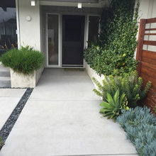 Front yard design ideas