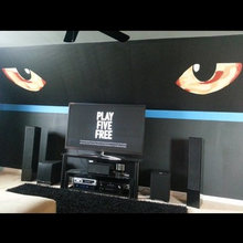 Carolina Panther media room