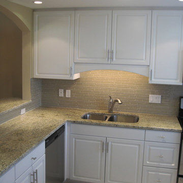 Kitchen remodel in Longboat Key Condominium