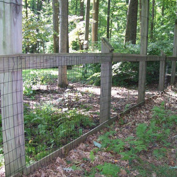 Deer Fencing