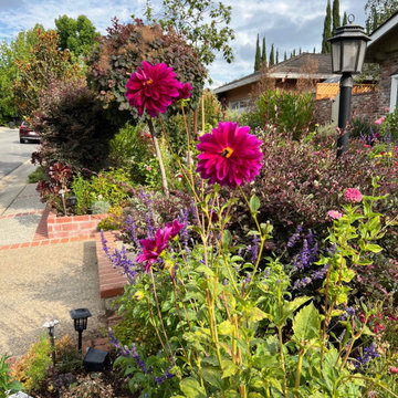 Los Altos seasonal update