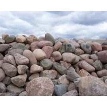 Landscape Ideas
