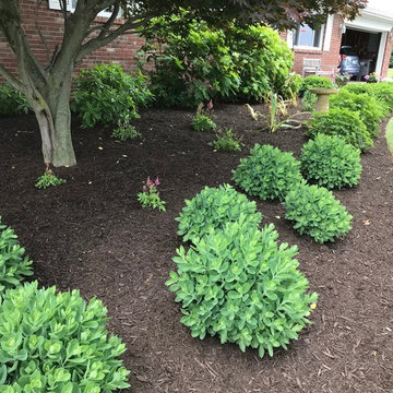 Landscape Maintenance Activities in Warsaw, IN & Syracuse, IN