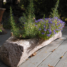 Zen Landscaping