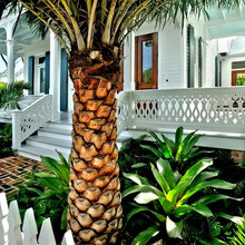 Front Porch Landscape