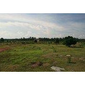 Nahar Ismail's photo