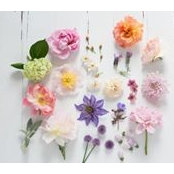 Gabriella Martinelli's photo
