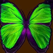 Tatiana Chegal's photo