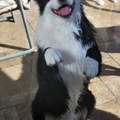 Deb Fratto's photo