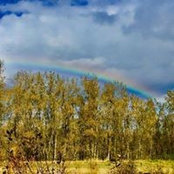 Foto von Jennifer Basch