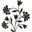 Alicia Thomasson Interiors