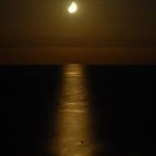 Nicole Speirs's photo