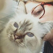 Chirù Baccabri's photo