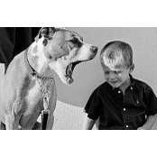Elaine Zelley's photo