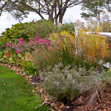 Lake Shore Home