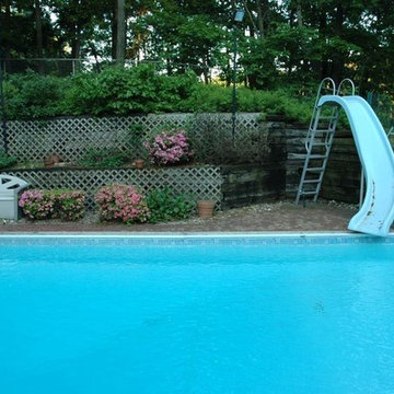 'Before' Photo of Backyard Pool Area (Dix Hills/NY):