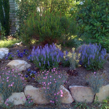 Our Work