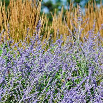 Sagaponack Traditional