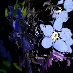 Flora Deconstructed - Products