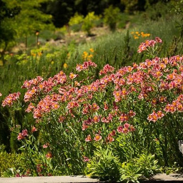 Edible Garden