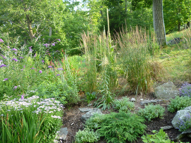 Rustic Landscape by The Crafted Garden