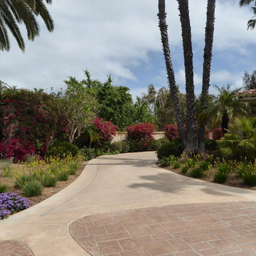 Lawn conversion in Fairbanks Ranch