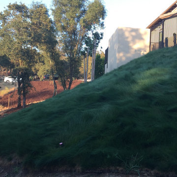 El Dorado Hills - Serrano Complete Landscape