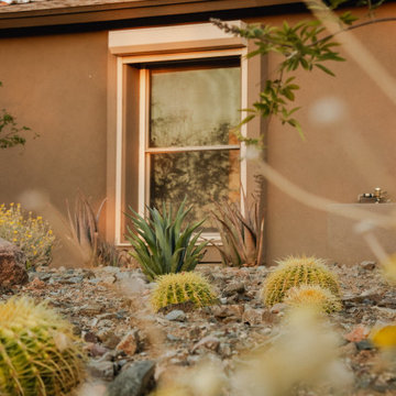 Desert Vista