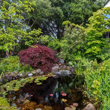 A Gardeners Garden in Orinda