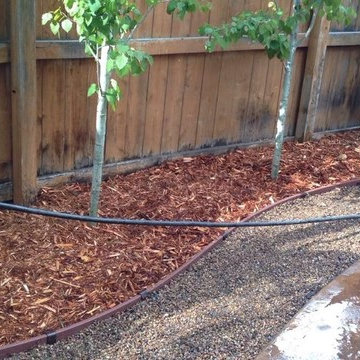 Plant Design with Drip Irrigation and Outcropping