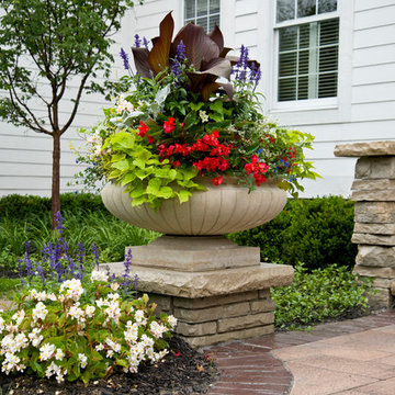 Upscale Entry