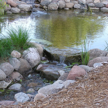 Carpenter Nature Center