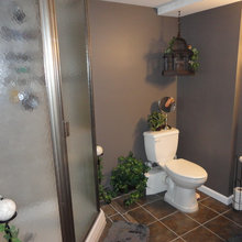 basement bathroom