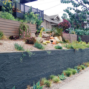 Conscious Stream Scape- Silverlake