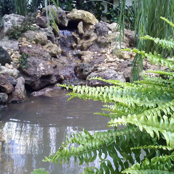 Florida Friendly Landscaping