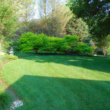 Lancaster planting