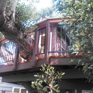Custom Tree House at La Jolla Shores